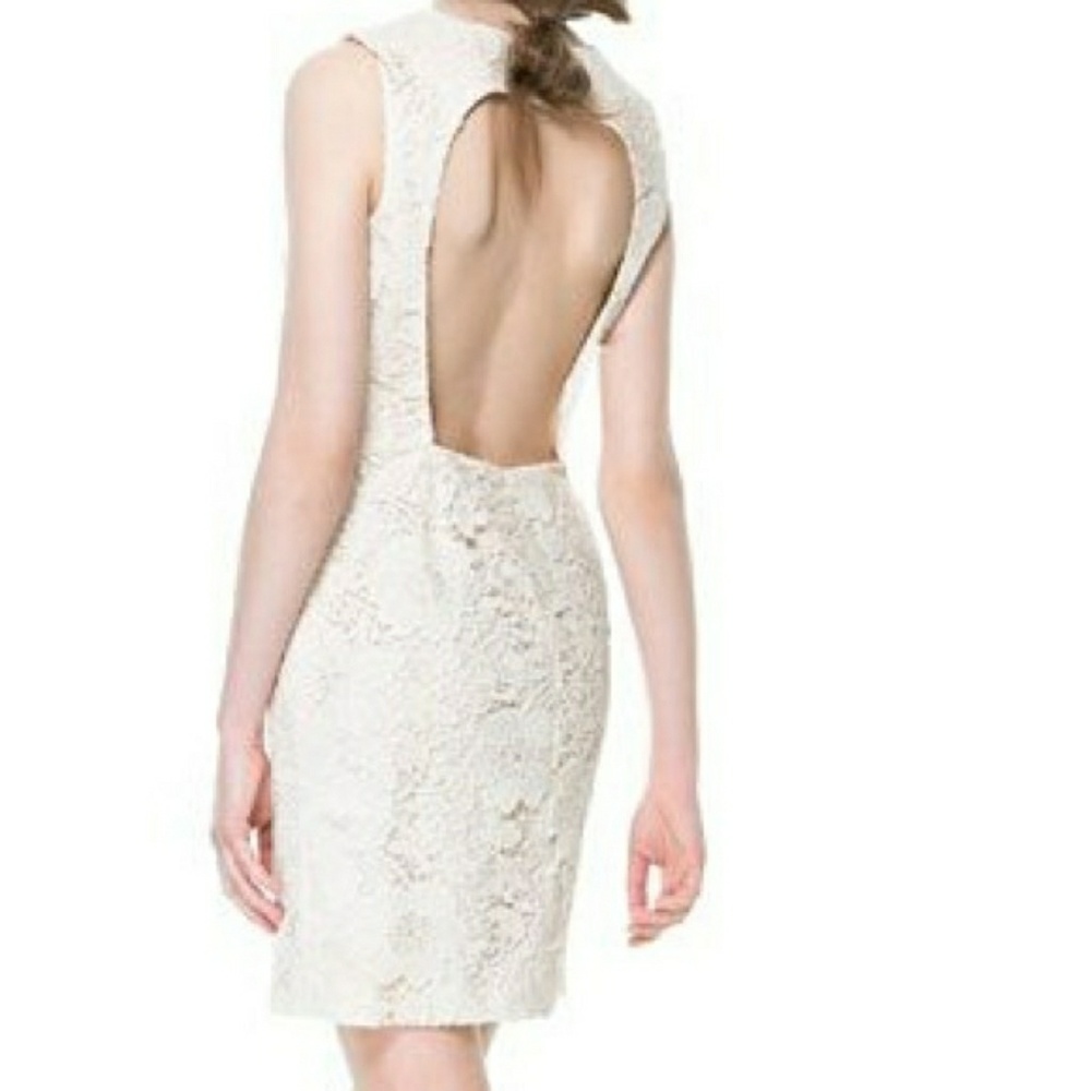 Zara - xs, lace floral dress. Nwt!